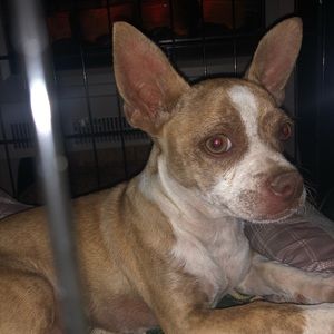 Meet your Posher, Valorie